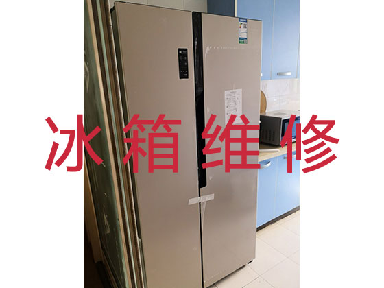 上海电冰箱维修上门服务